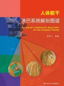 人体躯干淋巴系统解剖图谱