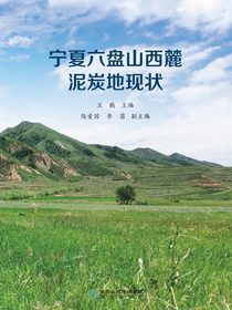 宁夏六盘山西麓泥炭地现状