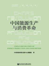 中国能源生产与消费革命