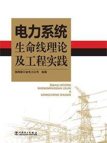 电力系统生命线理论及工程实践