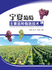 宁夏葡萄主要品种栽培技术