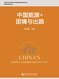 中国能源的困境与出路