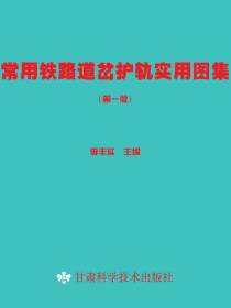 常用铁路道岔护轨实用图集（第一版）