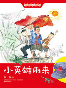 中国经典儿童文学大系：小英雄雨来