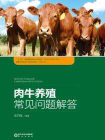 肉牛养殖常见问题解答