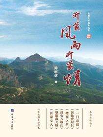 沂蒙风雨沂蒙情：电影文学剧本选集