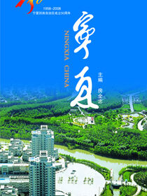 2008中国宁夏
