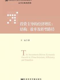 投资主导的经济增长：结构、效率及转型路径