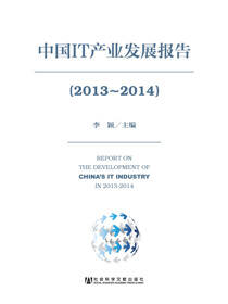 中国IT产业发展报告（2013～2014）