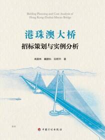 港珠澳大桥招标策划与实例分析