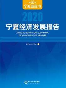 宁夏经济发展报告.2020