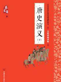 唐史演义(下册)