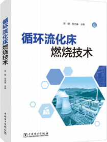 循环流化床燃烧技术