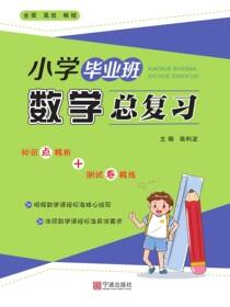 小学毕业班数学总复习