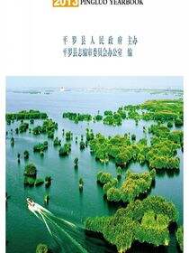 平罗年鉴2013