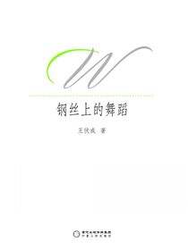 钢丝上的舞蹈