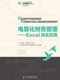 电算化财务管理--Excel综合应用