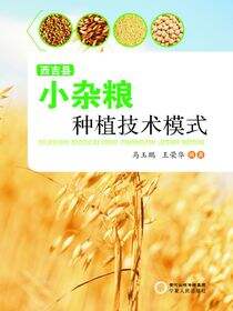 西吉县小杂粮种植技术模式