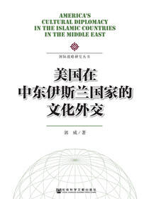 美国在中东伊斯兰国家的文化外交